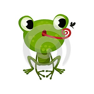 Cute frog hunting on mosquito. Flat vector icon of funny green toad. Cartoon character of amphibian animal