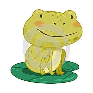 Cute frog sitting on lotus leaf in pond. Green funny amphibian toad character cartoon vector illustration