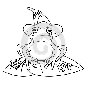 Cute frog sitting on water lily. Funny froggy in witch pointed hat. Outline toad with flower. Wild amphibian, wetland