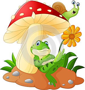 Cute frog and snail cartoon with mushrooms