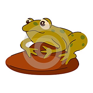 The cute frog with spots sits on a brown rock. Kids illustration