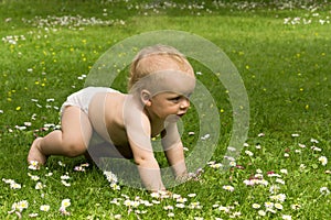 Cute funny baby boy wearing a diaper learning to crawl, having fun playing on the lawn watching summer flowers in the garden