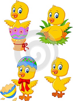 Cute funny baby chicken with Easter egg collection set