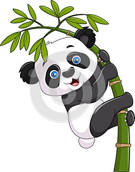 Cute funny baby panda hanging on a bamboo tree photo