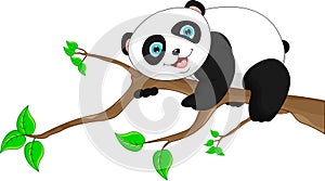 Cute funny baby panda