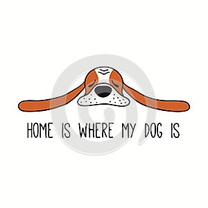 Cute funny basset hound, puppy, quote