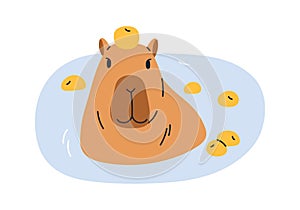 Cute funny capybara bathing in water with apples. Amusing capibara swimming, relaxing in nature. Happy capy animal, lazy photo