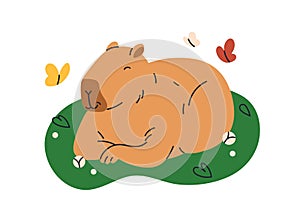 Cute funny capybara sleeping in nature. Happy capy asleep. Sweet lazy capibara animal relaxing, resting in peace