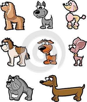 Cute funny cartoon dogs vector puppy pet characters different breads doggy illustration. Human friends home animals