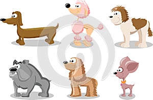 Cute funny cartoon dogs vector puppy pet characters different breads doggy illustration. Human friends home animals