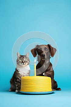 cute and funny cat and dog celebrate happy birthday by cake with candles