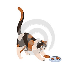 Cute funny cat at food bowl. Happy kitty pet. Adorable lovely hungry feline animal looking, staring at tasty feed. Comic