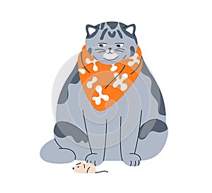 Cute funny cat looking at mouse. Fat chubby chunky full kitty in bib, ready for eating. Amusing hungry feline animal