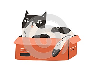 Cute and funny cat lying inside cardboard box with tongue out isolated on white background. Adorable spotted black and