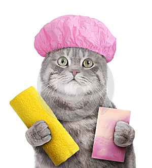 Cute funny cat with shower cap and different accessories for bathing on white background