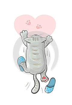 cute funny cat in slippers goes to his sweetheart