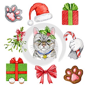 Cute funny cat with winter festive elements set. Watercolor illustration. Hand painted cute kitty, present, gift