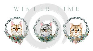 Cute funny cats with winter time decor set. Watercolor illustration. Painted funny kittens with winter floral decoration