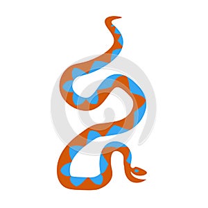 Cute funny colored wavy snakes in cartoon flat style isolated on white. photo