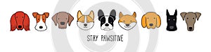 Cute funny dog, puppy faces border, banner