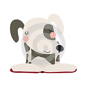 Cute funny dog reading book