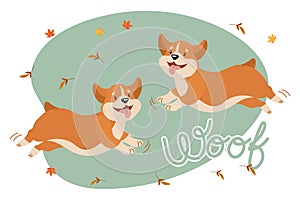 Cute funny dogs corgi in a jump and the text Woof. Children\'s illustration, vector