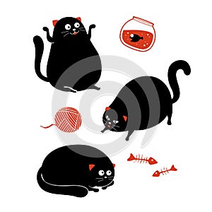 Cute and Funny Fat Cats