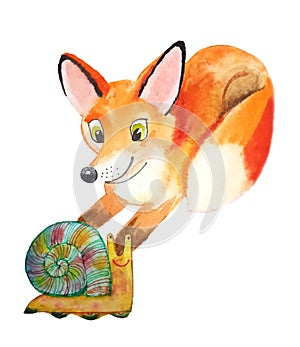Small fluffy Fox watching a snail