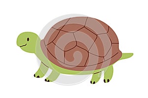 Cute and funny green turtle with brown shell. Side view of happy tortoise character standing isolated on white
