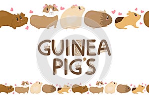 Cute funny guinea pigs of different colors stand, cute home rodent, vector illustration, seamless horizontal border