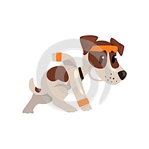 Cute funny jack russell terrier athlete character doing sports vector Illustration on a white background