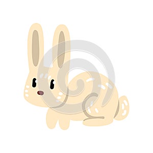 Cute funny little rabbit cartoon character vector Illustration on a white background