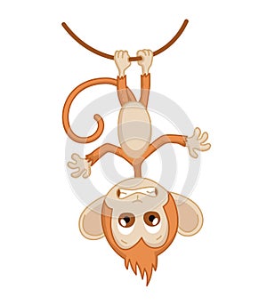 Cute funny monkey colorful cartoon illustration. Vector little chimpanzee. Wildlife character