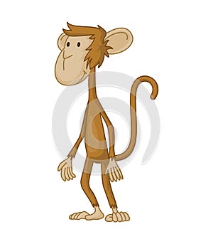 Cute funny monkey colorful cartoon illustration. Vector little chimpanzee. Wildlife character. Ape stands and thinking