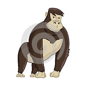 Cute funny monkey colorful cartoon illustration. Vector little chimpanzee. Wildlife character. Great ape stands