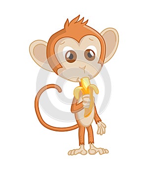 Cute funny monkey colorful cartoon illustration. Vector little chimpanzee. Wildlife character. Little ape eating banana