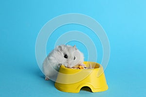 Cute funny pearl hamster near feeding bowl on light blue background