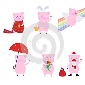 Cute funny pig character set - symbol of the 2019 Chinese New Year.