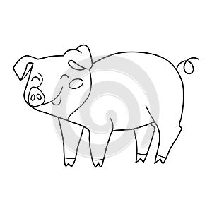 Cute funny pig smiling on white background