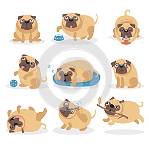 Cute funny pug dog set, dog in different poses and situations cartoon vector Illustrations