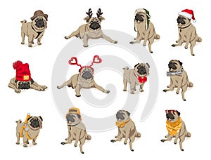 Cute funny pug dogs set