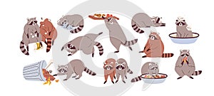 Cute funny raccoons set. Slow lazy racoon characters eating, overeating, sleeping and relaxing. Sluggish sleepy animal