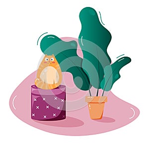 A Cute Funny Red Cat on a Pouffe with a Potted Plant and Pink Background