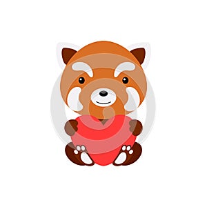 Cute funny red panda with heart on white background. Cartoon animal character for congratulation with St. Valentine day, greeting