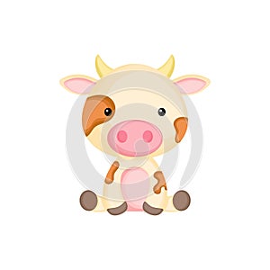 Cute funny sitting baby cow isolated on white background. Domestic adorable animal character for design of album, scrapbook, card