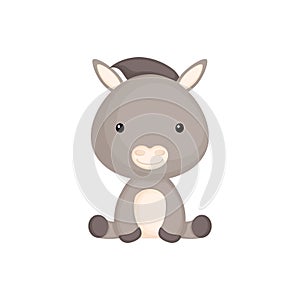 Cute funny sitting baby donkey isolated on white background. Domestic adorable animal character for design of album, scrapbook,