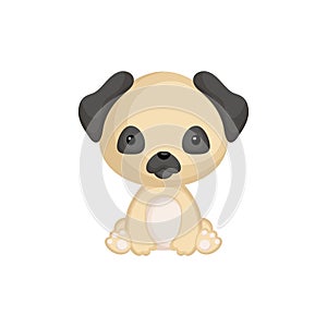 Cute funny sitting puppy pug isolated on white background. Pet adorable animal character for design of album, scrapbook, card and