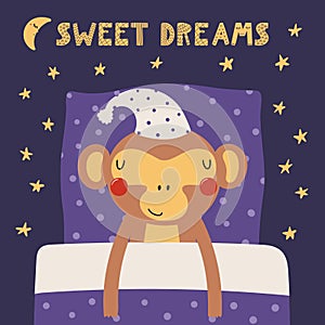 Cute funny sleeping monkey with pillow, blanket