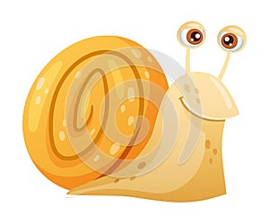 Cute funny snail gastropod mollusk cartoon vector illustration on white background