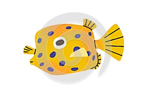 Cute funny spotted aquarium fish. Tropical yellow boxfish. Exotic little sea water species. Ornamental decorative